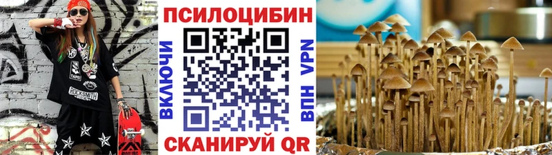 цены наркотик  Сланцы  Псилоцибиновые грибы мухоморы 