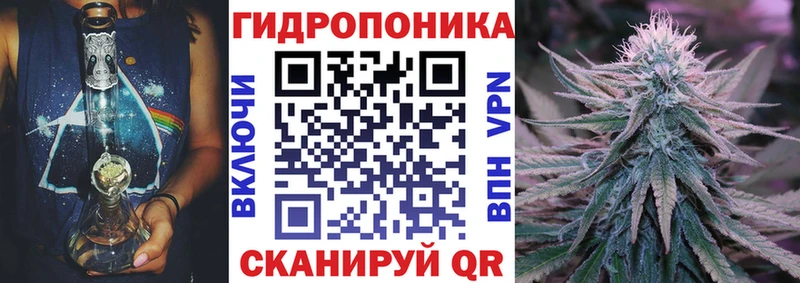 Бошки Шишки Bruce Banner Сланцы